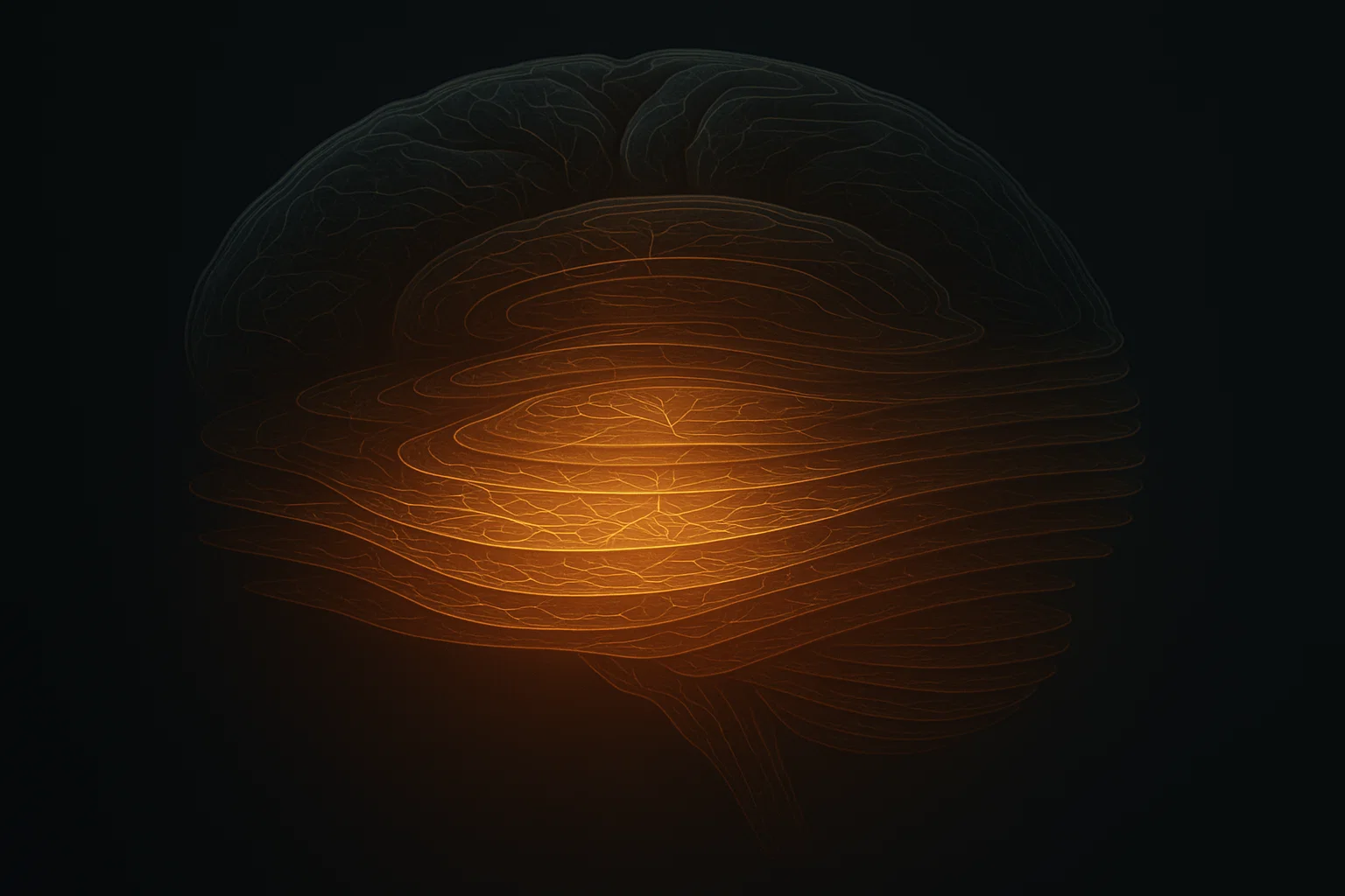 Illustration of a human brain shown in layered cross-sections, with the middle input layer glowing brightly and deeper layers appearing thinner, symbolizing how aging alters sensory processing.