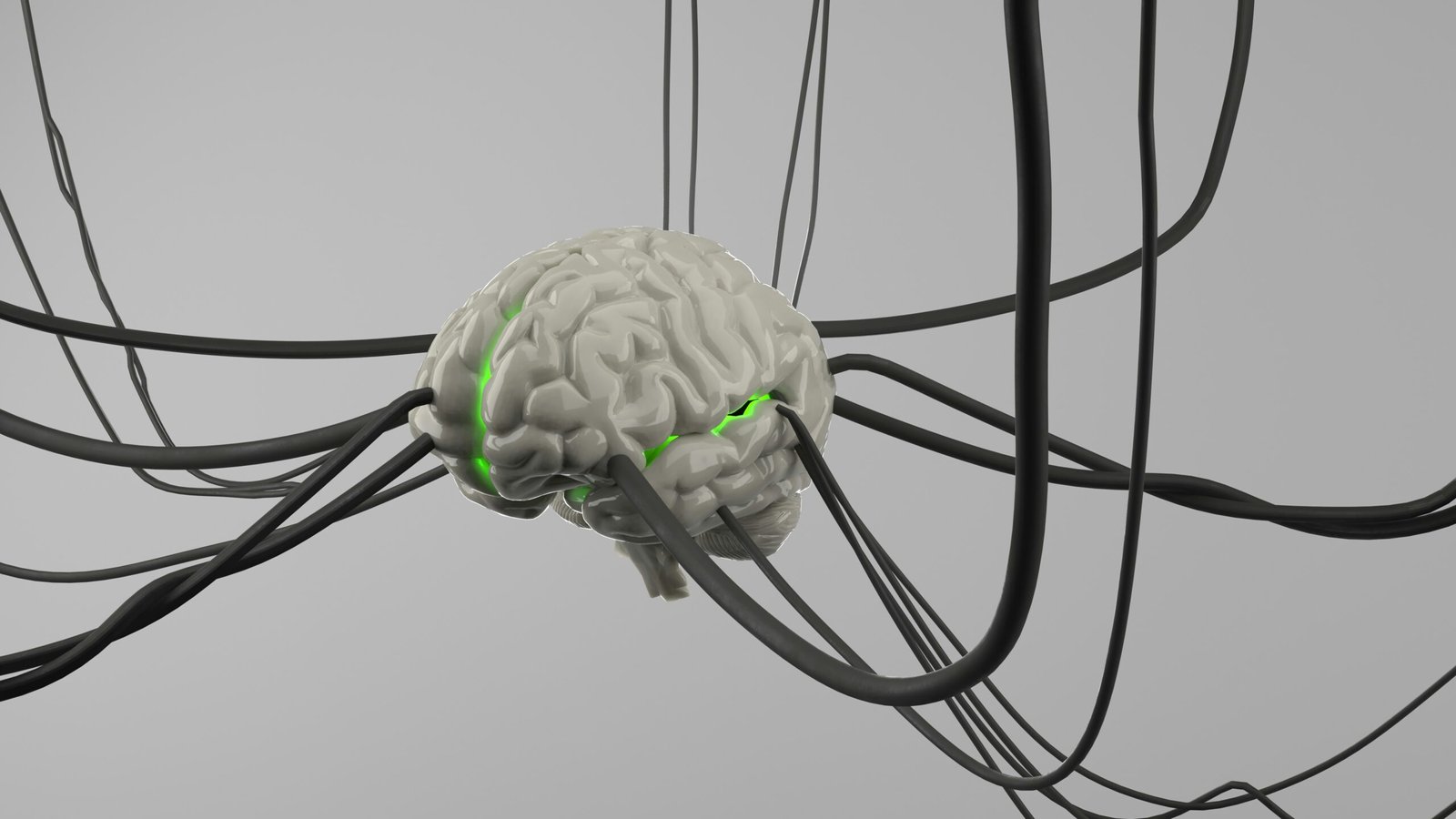 Human Brain