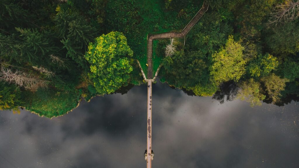 biodiversity and environmental ecosystem