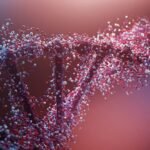 Featured image placeholder 16:9