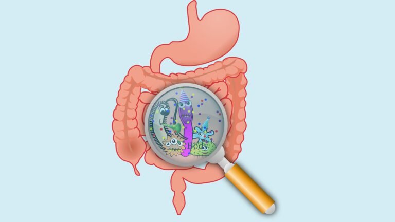 Your Gut Sends Tiny Biological Messages as You Age and They May Drive Insulin Resistance