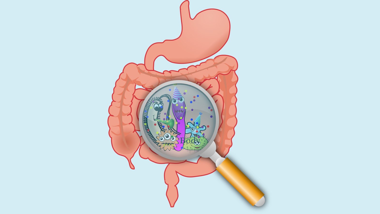 Gut microscopically show microbiome.