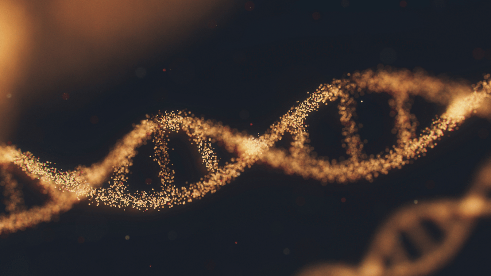DNA