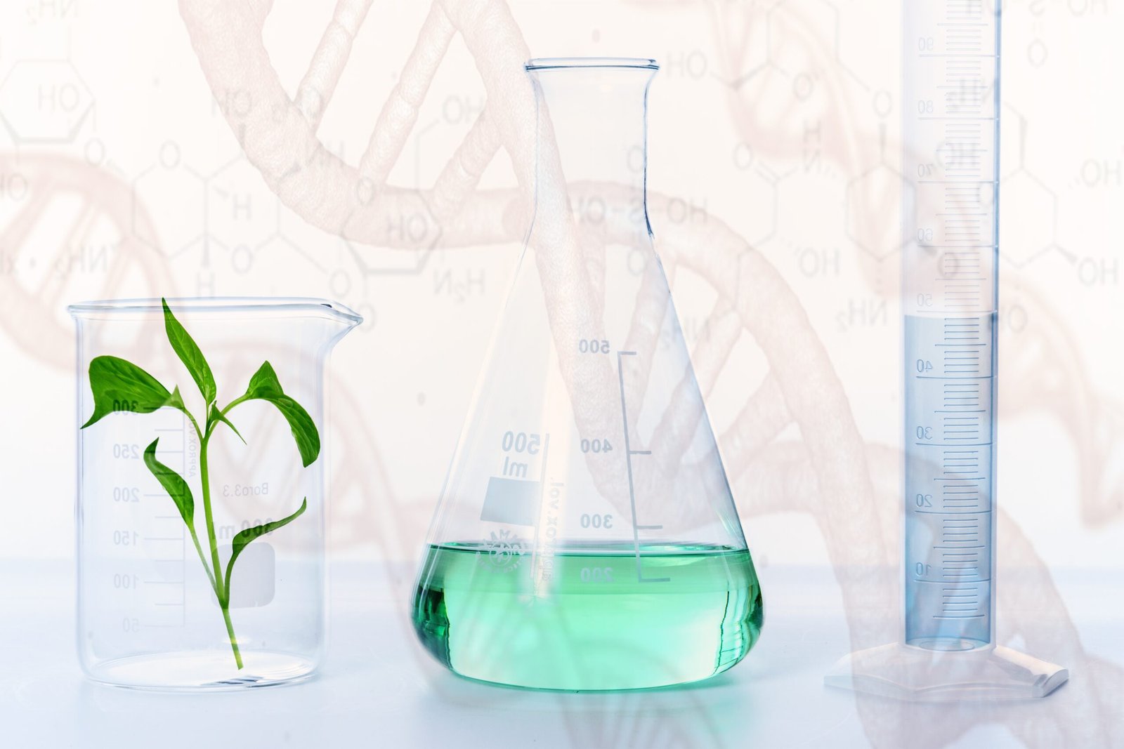 Experiment, Research, Laboratory image. 