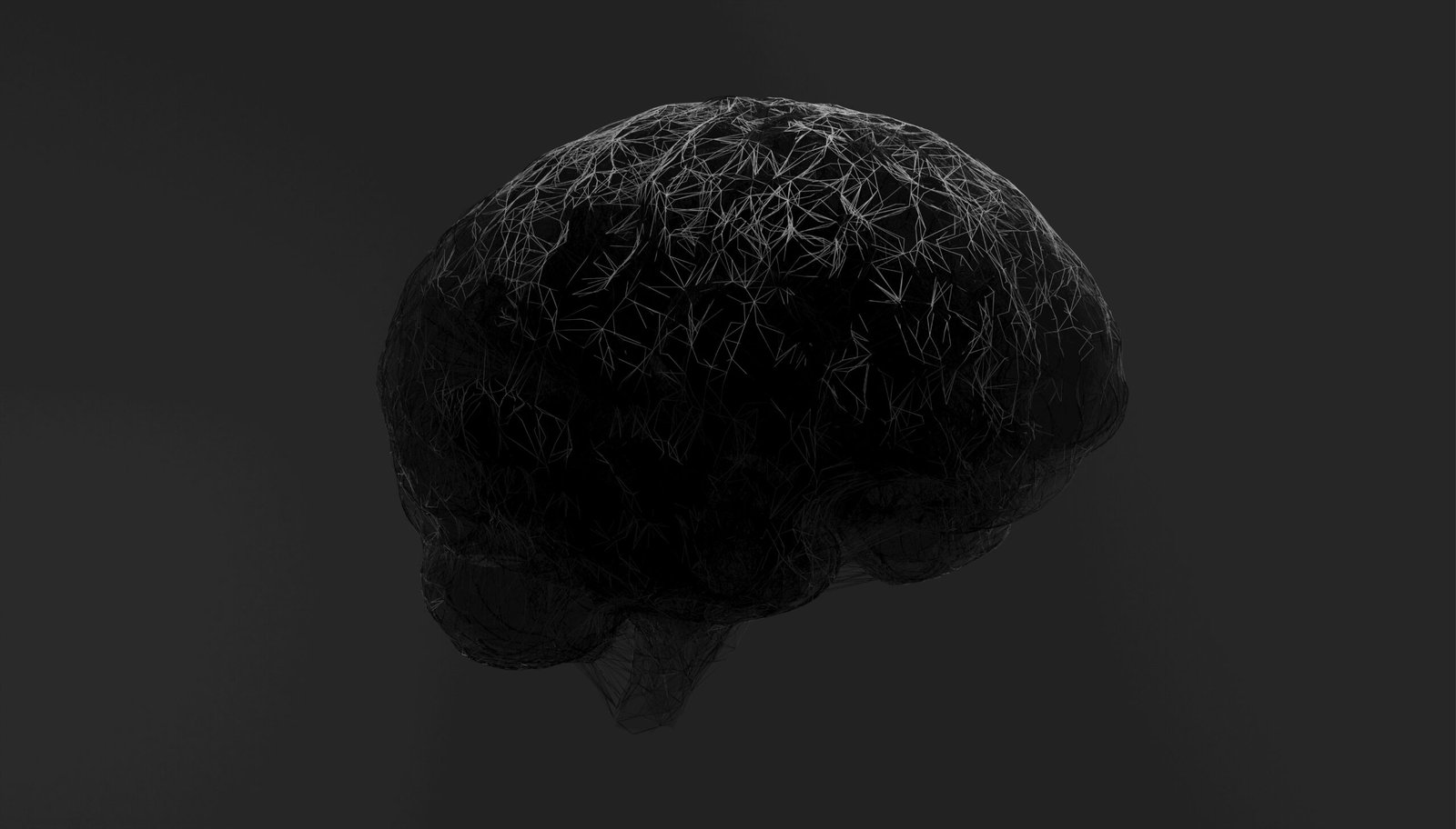 A black and white photo of a brain.