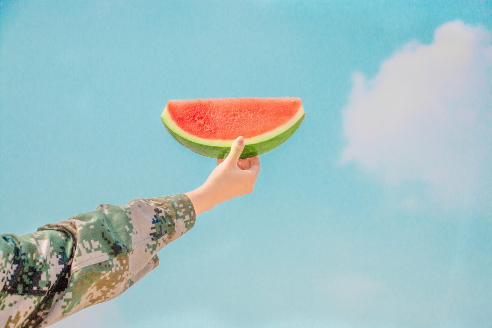 Slice of watermelon hold in hand.