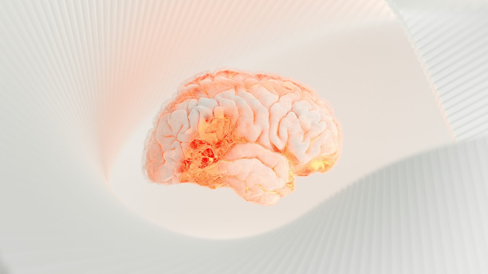 The image features a close-up of a brain, emphasizing intricate details and textures. The monochrome maintaining an artistic quality, suited for those appreciating art in its various forms.
