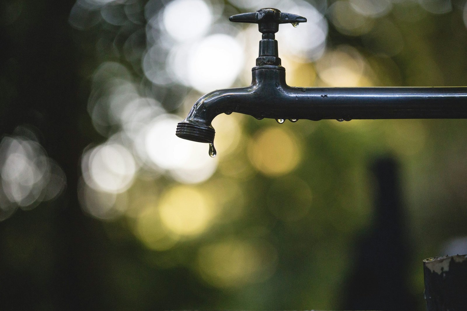 Water on tap
