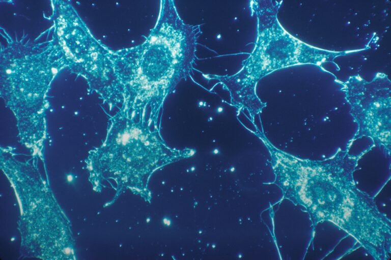 Scientists Discover DNA “Smart Molecules” That Can Find and Flag Aging Cells