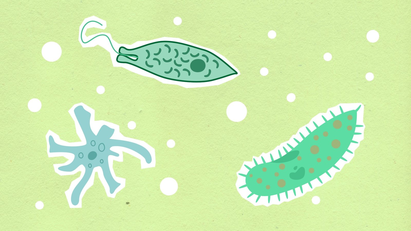 Abstract illustration of various microbes and protozoa on a green background.