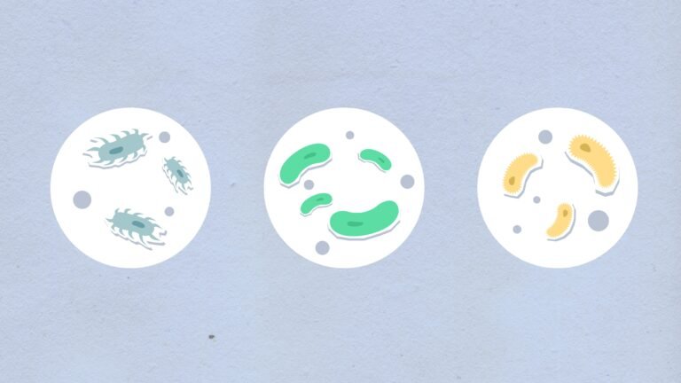 The “Brain-Eating” Amoeba Is More Dangerous Than You Think And It May Be In Your Water