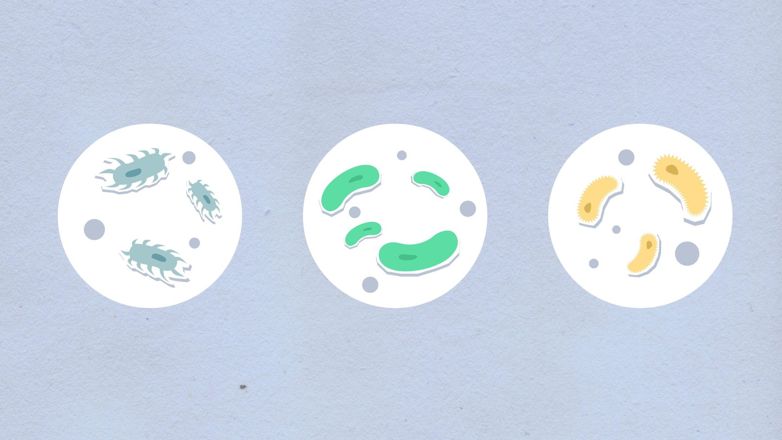 Creative illustration of microorganisms with colorful designs against a gray background.