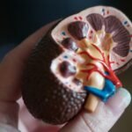 Featured image placeholder 16:9