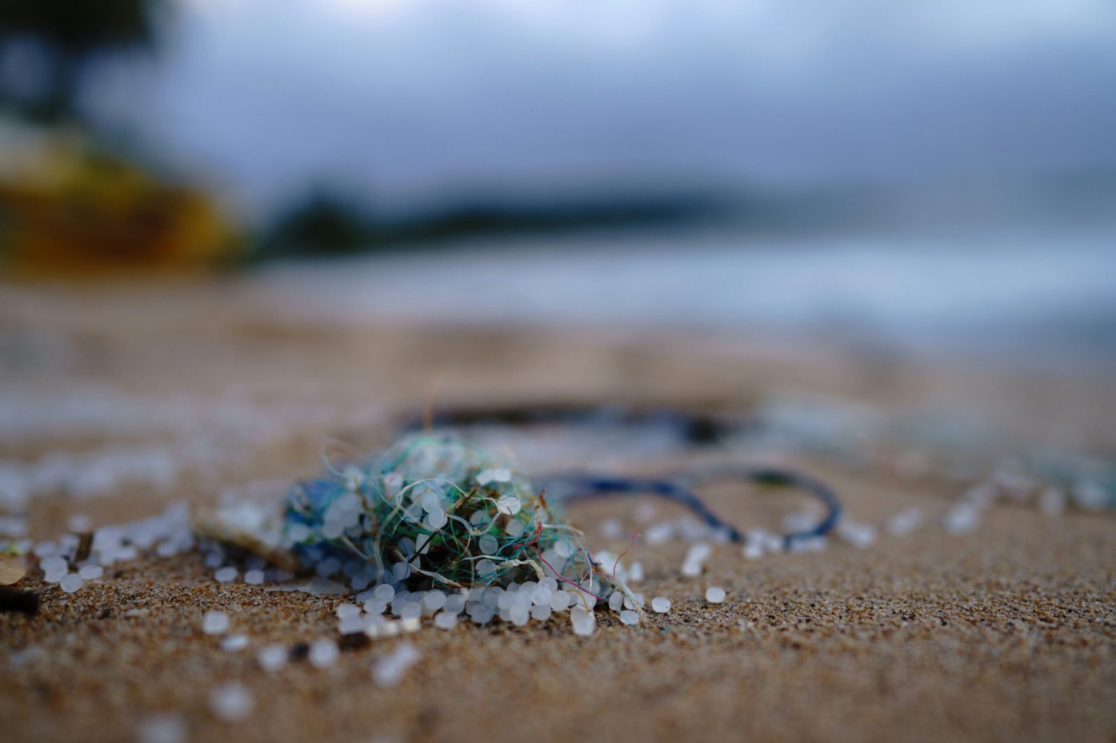 Picture taken at Mirissa Harbour on May 30th. In addition to the usual plastic trash on that beach now there a millions of litte plastic pellets that come from the ship X-Press Pearl.