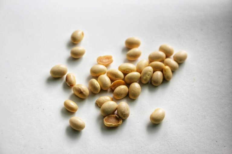 Eating More Beans and Tofu Could Lower Your Blood Pressure Here’s the Science