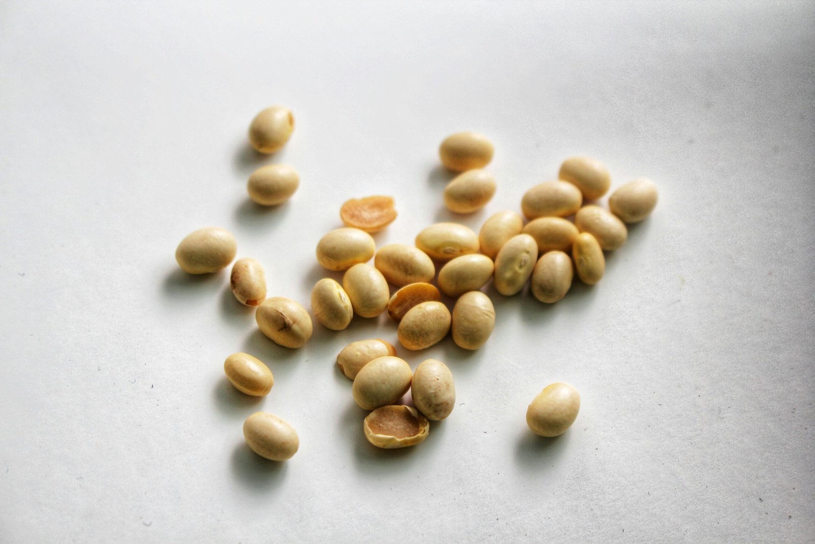 Close-up image of soybeans scattered on a white surface.
